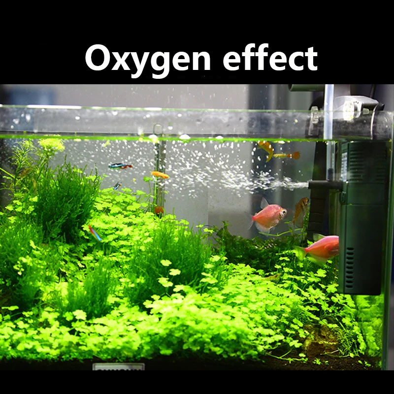 SUNSUN mini nano 111B 311B 611 - Planted Aquarium Mini incelemesi ve fiyatı