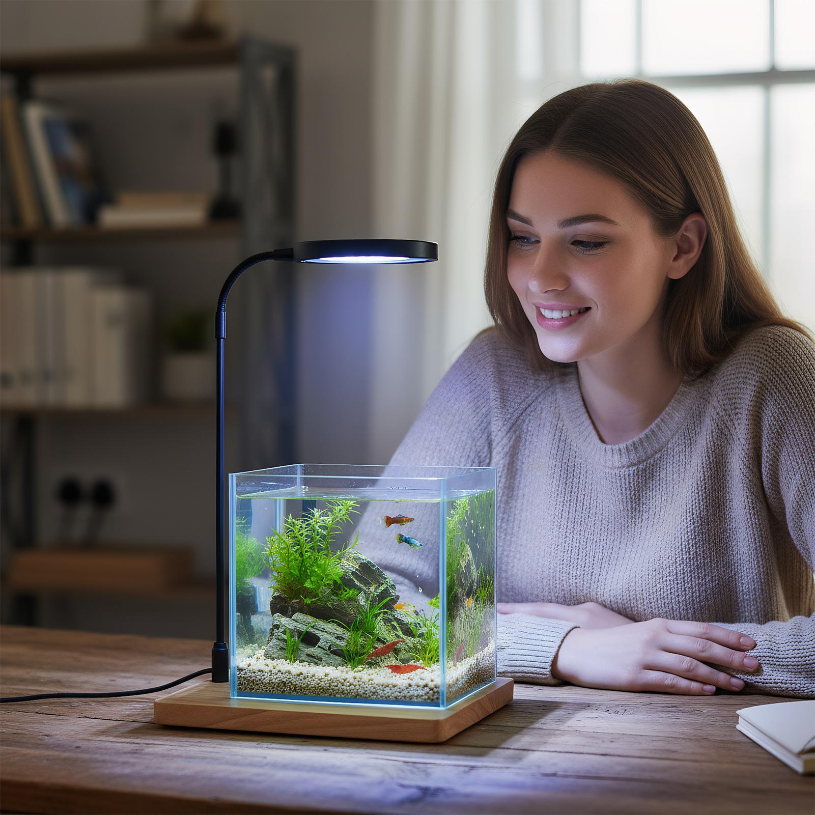 Ahşap Tabanlı İç Mekan Yetişti - Aquarium Plant On Wood incelemesi ve fiyatı