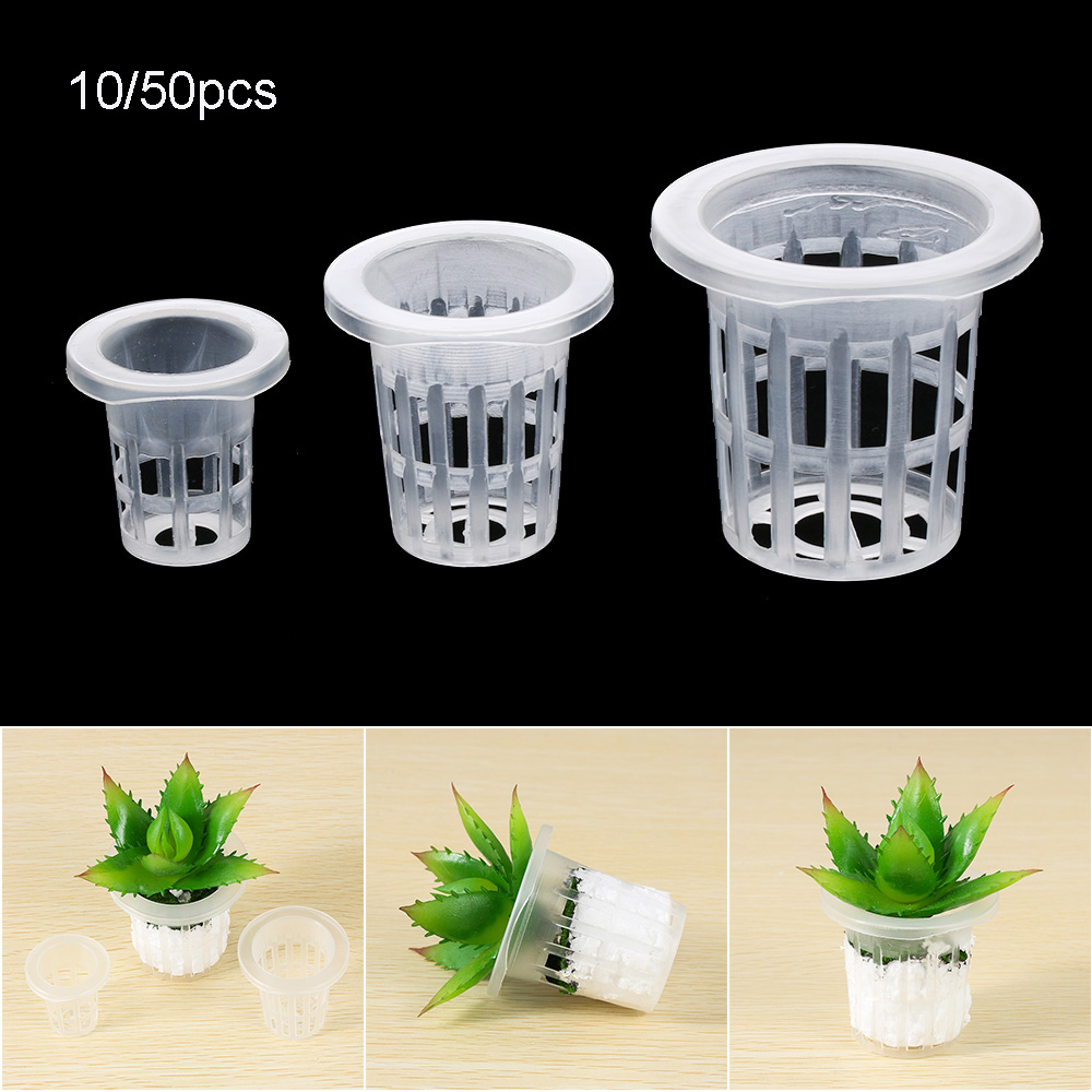 10/50 adet Bahçe Malzemeleri D - Aquarium Planted Seeds incelemesi ve fiyatı