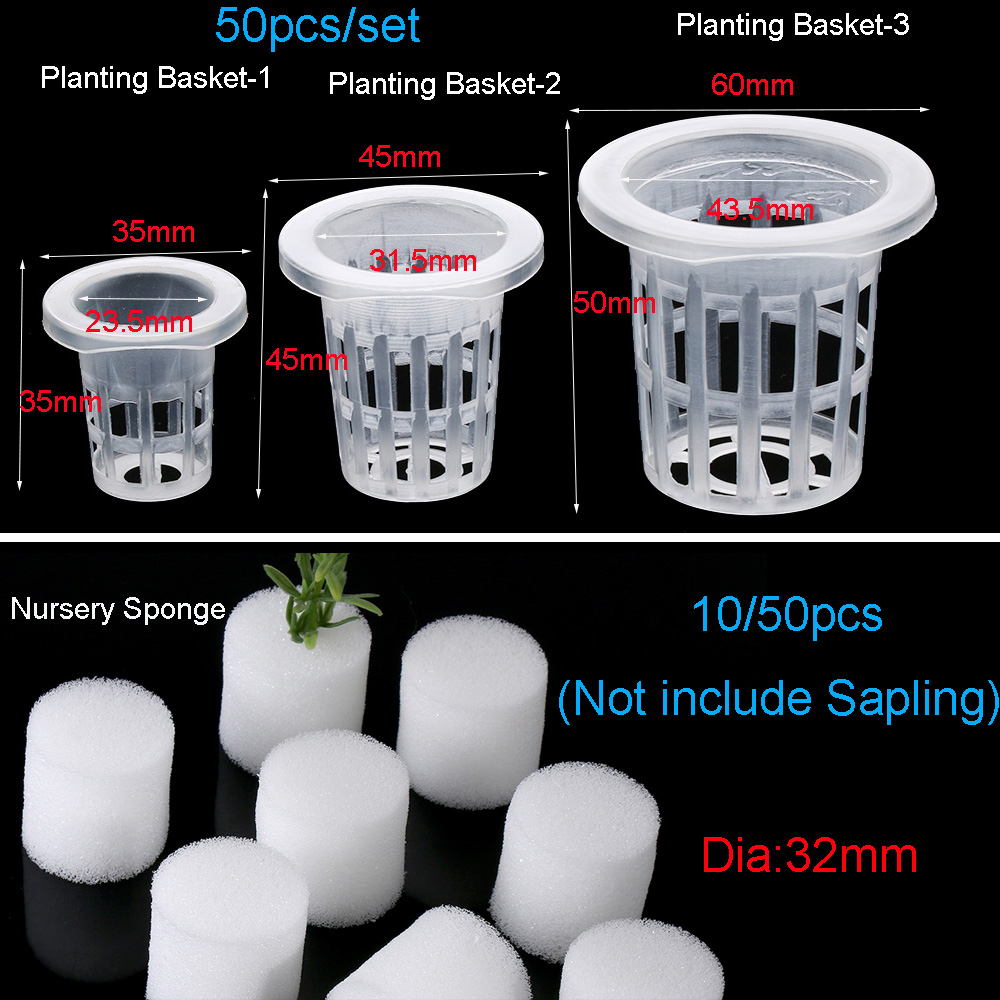 10/50 adet Bahçe Malzemeleri D - Aquarium Planted Seeds incelemesi ve fiyatı